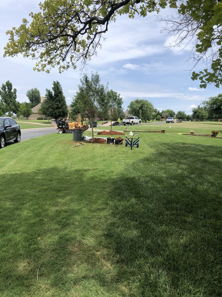 Gallery Image: ABC Tree Service