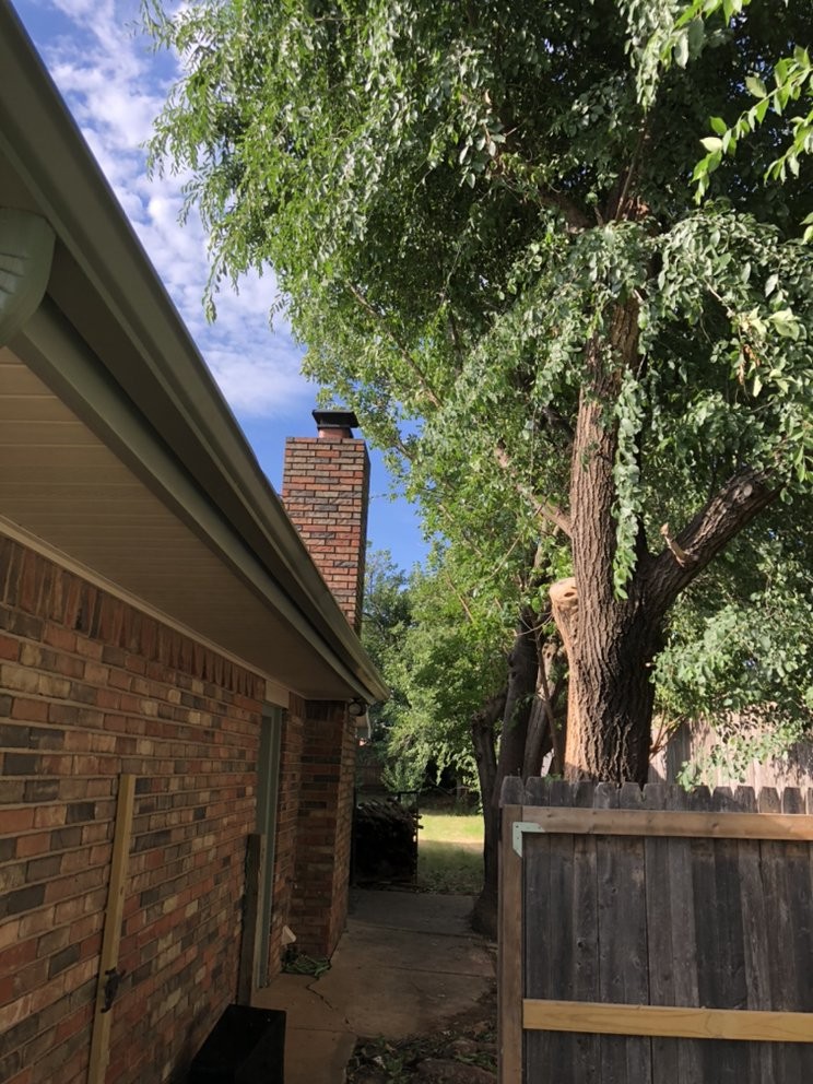 Gallery Image: ABC Tree Service